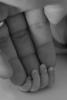 post-28284-1231074030_thumb.jpg