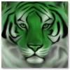 Green Tiger